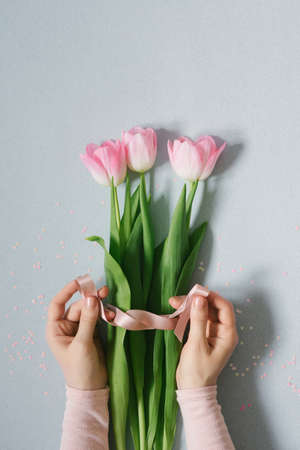 Women's hands tie a satin ribbon bow on a simple bouquet of fresh pink tulips, flowers on a blue background, flat lay.の写真素材