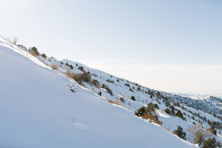 Snow slopes of the Tien Shan mountains in Uzbekistan in the Beldersay ski resort on a clear winter...