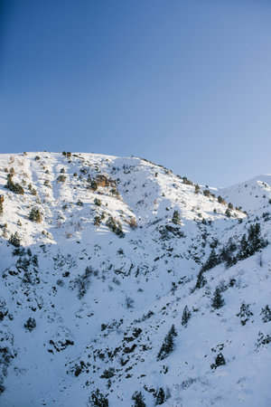 Hills covered with snow, in winter on a Sunny day in the mountains of Uzbekistanの写真素材