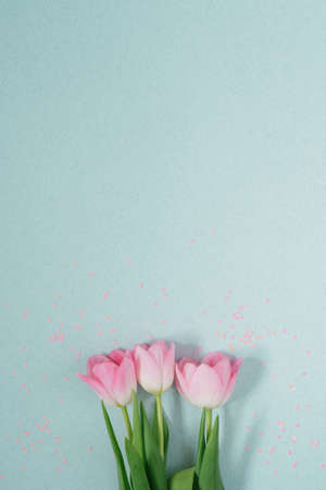 Beautiful pink spring tulips on a light mint background with pink sequins lay flat. A copy of the...