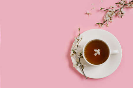 White porcelain cup with black tea. Branches of a blossoming apple tree lie on a gentle pink background. Spring concept. Copy space. Flat layの写真素材