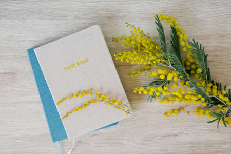 Mimosa branches and notebooks on a light wooden background. Top view. The workplace of a blogger in...