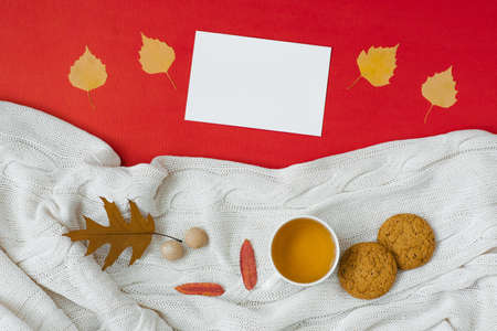 Autumn flat lay composition. A cup of tea, a knitted blanket, autumn dry leaves, oatmeal cookies, pure white leaves for inscriptions on a red background top view.の写真素材