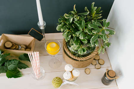 Waffle cone with white ice cream in a glass vase, paper tubes and a plant in a vase on the kitchen...