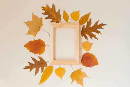 Colorful autumn leaves around a wooden frame. Copy spaceの写真素材
