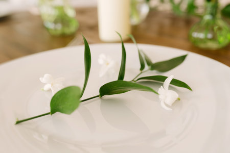 A green sprig with leaves on a serving plate on the festive table. Wedding or birthday decorの写真素材