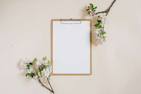 Blank sheet of paper notepad with a clip, apple tree branches with flowers on a beige background. A minimal home office desktop. Flat lay, top view.の写真素材