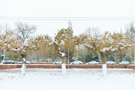 Snowy autumn Park in Tashkentのeditorial素材