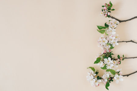 Apple spring flowers on a beige background. Flat lay, top view with copy spaceの写真素材