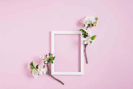 White blank frame with copy space lies on a pink background surrounded by blossoming branches of an apple tree. Spring Announcement Conceptの写真素材