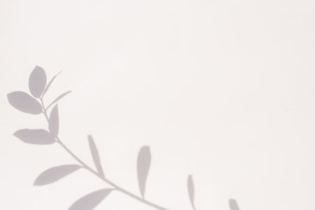 Shadow from a plant on a gray background with copy space