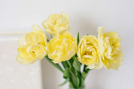 Bouquet of yellow tulips in a vase. A gift for Women's Day of yellow tulip flowers. Beautiful yellow flowers for the holidayの写真素材