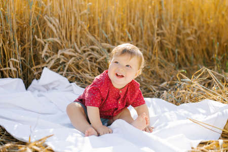 Sweet eight-month-old baby boy sitting on a blanket in a fieldの写真素材