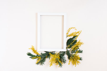 White empty frame with copy space surrounded by mimosa flowers. Mockup for a holiday cardの写真素材
