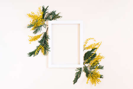Empty white frame and yellow mimosa flowers on a white background of the top view with space copy. flat layの写真素材