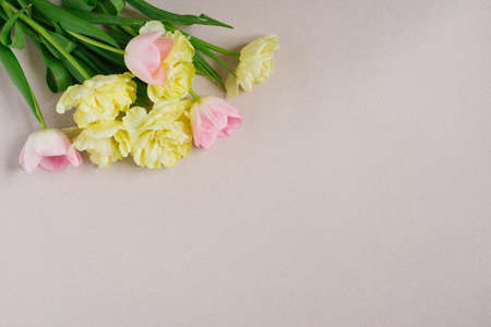 Beautiful composition of spring flowers. Bouquet of pink and yellow tulips on a pastel beige...