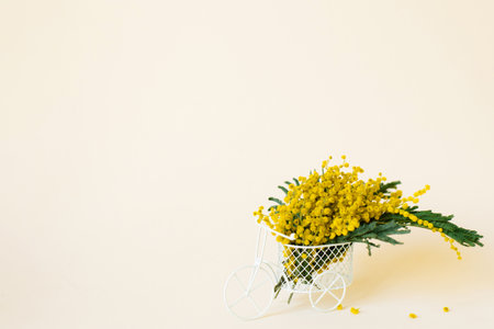 Bouquet of yellow mimosa flowers stands in a decorative bicycle on a beige background with a copy space. The concept of March 8, Easter, happy women's dayの写真素材