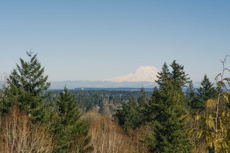 Beautiful landscape with a view of the Rainier volcano from Olympiaの写真素材