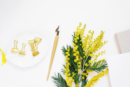 Workplace of a female calligrapher. Pen, yellow mimosa flowers, paper clips on a saucer and notebooks on a white backgroundの写真素材