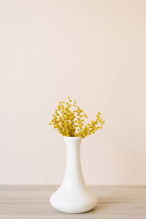Bouquet of yellow mimosa flowers in a vase. Concept of women's or mother's dayの写真素材
