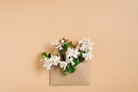 White apple blossoms in a paper craft envelope on a beige background. The concept of the spring holidayの写真素材
