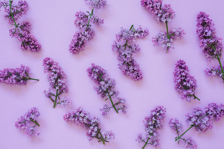 composition of flowers. Lilac flowers on a solid background. Concept of Mother's Day, Women's Day. Flat lay, top viewの写真素材