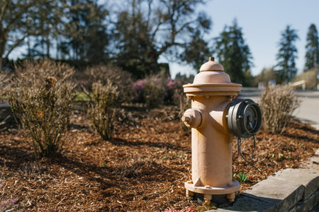 Fire prevention system on a hydrant on the street in the cityの写真素材