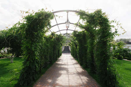 Belarus. September 2022. Green Arch on the territory of the Versailles Park Hotel. classic landscape designのeditorial素材