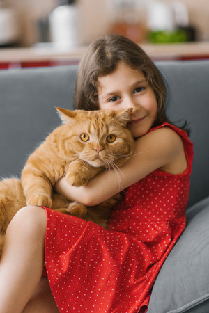 Child girl holds her pet red British cat in her arms and sits with him on the couch at homeの写真素材