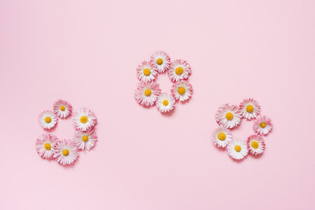 Daisy flowers are folded into flower shapes on a pink background. Flat lay, copy spaceの写真素材