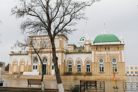 Kagan, Uzbekistan. December 2022. Palace of the Emir of Bukharaのeditorial素材