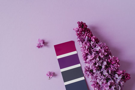 Color catalogue, an example of lilac on paper sample and lilac flowers. The color palette used by the designer to select the correct hue. view from above.の写真素材