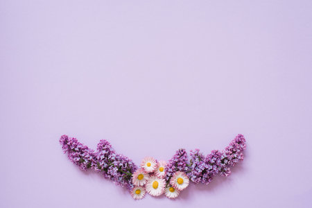 Composition of lilac flowers and daisies on a lilac background. Copy space, flat layの写真素材