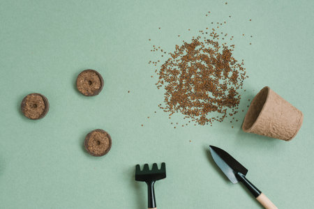 Set of garden tools and seeds on a green background of the table at homeの写真素材