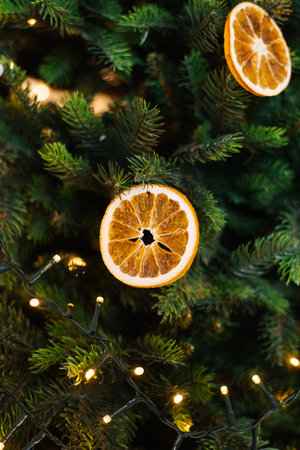 Christmas tree with dried oranges hanging from itの写真素材