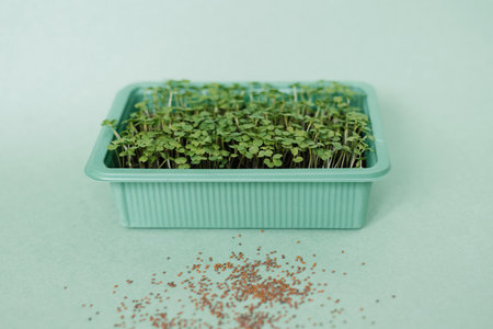 Tray of seedlings arugula on table with pile of seeds. Concept of growth and healthy foodの写真素材