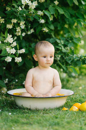 A baby sitting in a white bowl filled with water and citrus slices, surrounded by greenery and blooming jasmine flowers.の写真素材