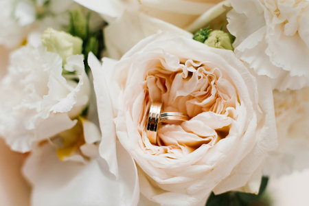 A close up of gold wedding rings placed inside a soft pink rose, symbolizing love and elegance for a wedding day.の写真素材