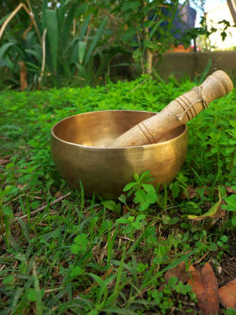 Singing bowl placed in the grass during the fall seasonの写真素材