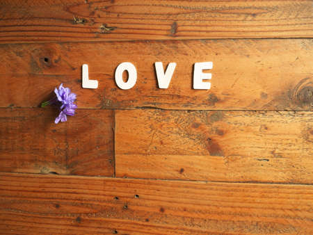 Word LOVE in white letters, on a wooden background, with a plumbago flowerの写真素材