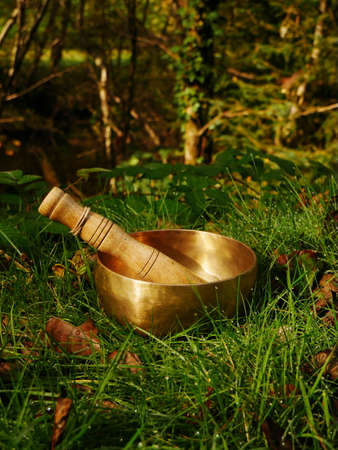 Singing bowl placed in the green and fresh grassの写真素材