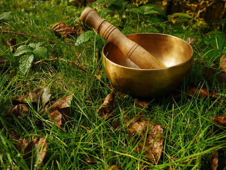 Singing bowl placed in the green and fresh grassの写真素材