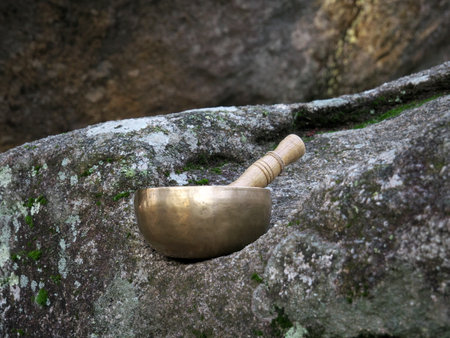 A singing bowl set on a large rock in natureの写真素材