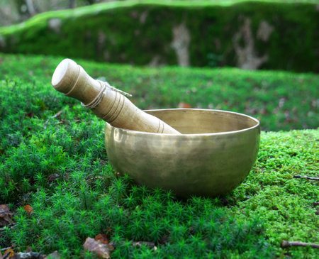 A singing bowl placed on the green moss in natureの写真素材