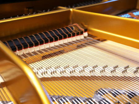 View on the beautiful mechanism of a grand pianoの写真素材