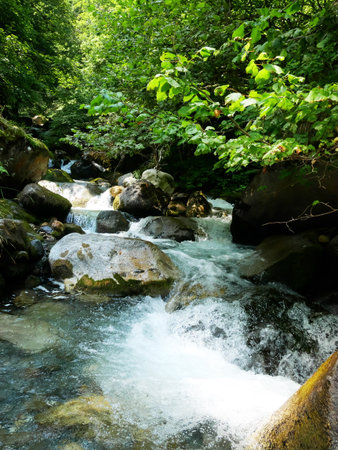 A close-up of a river in the Pyrenees National Park in southwest France