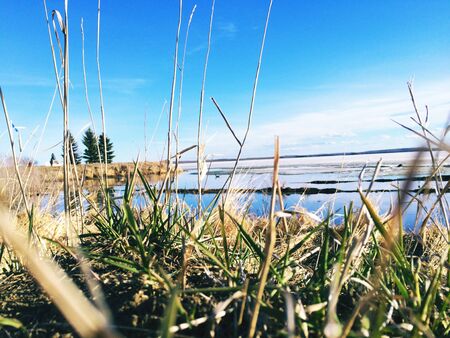 Lakeの素材