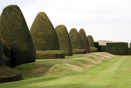Yew topiary garden at Chirk Castle in Wales Englandのeditorial素材