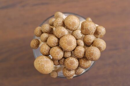 mushroomの写真素材