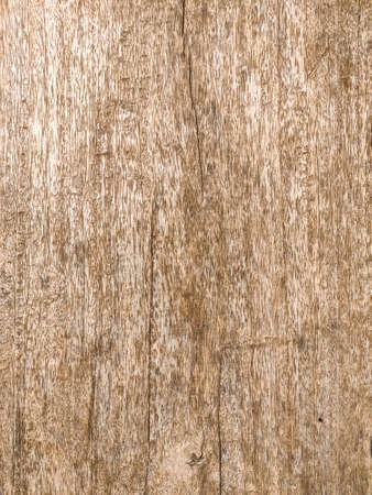 stone gravel texture and backgroundの写真素材